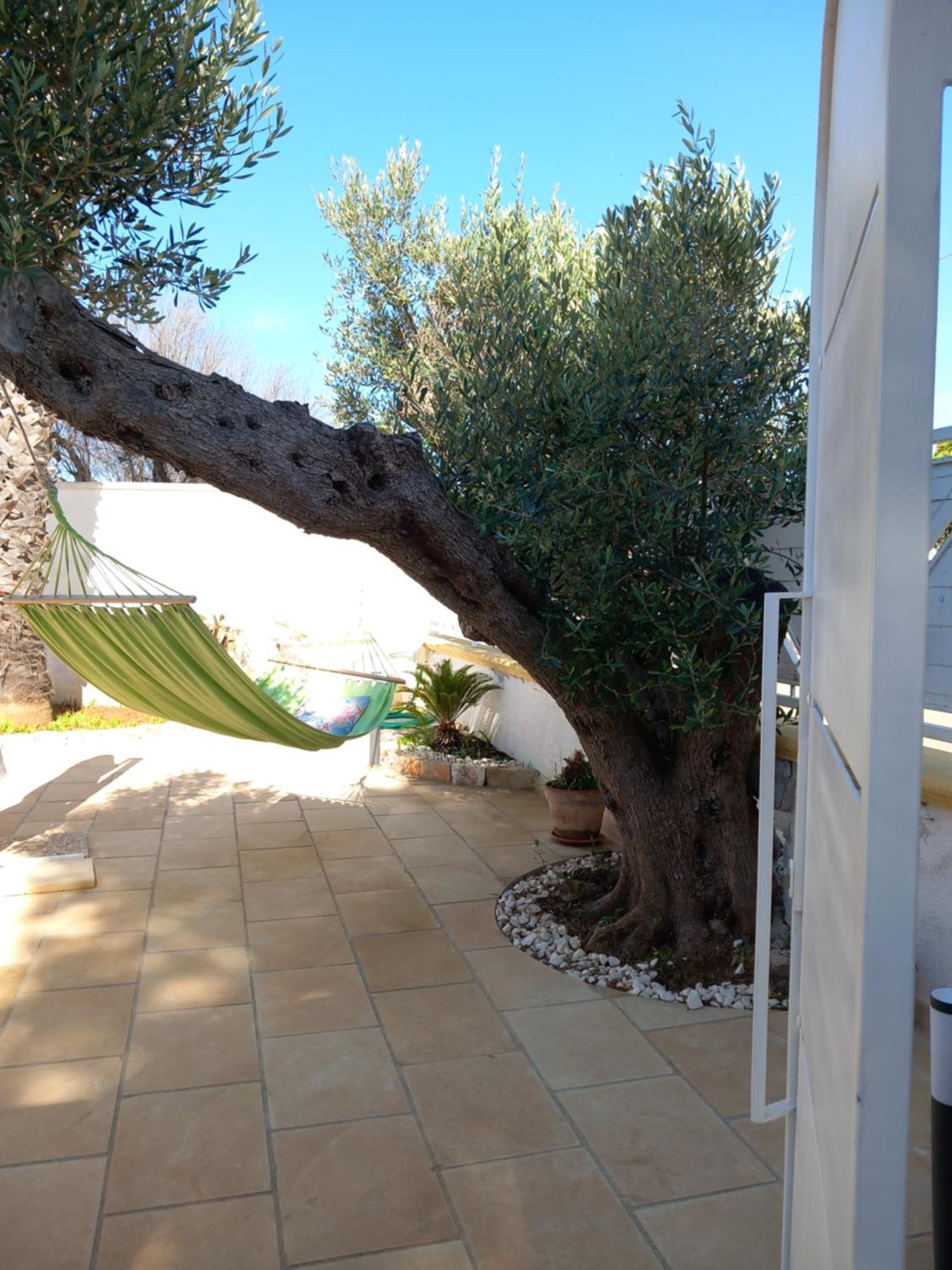 Alessandro House Porto Cesareo Dış mekan fotoğraf